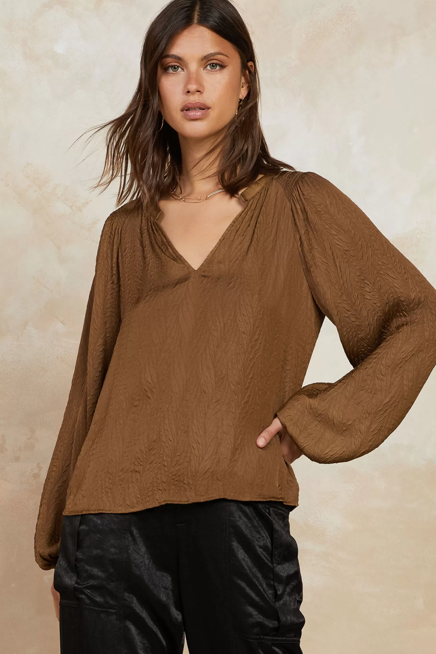 Current Air Long Sleeve Tops>Crinkle Texture Blouse BROWN