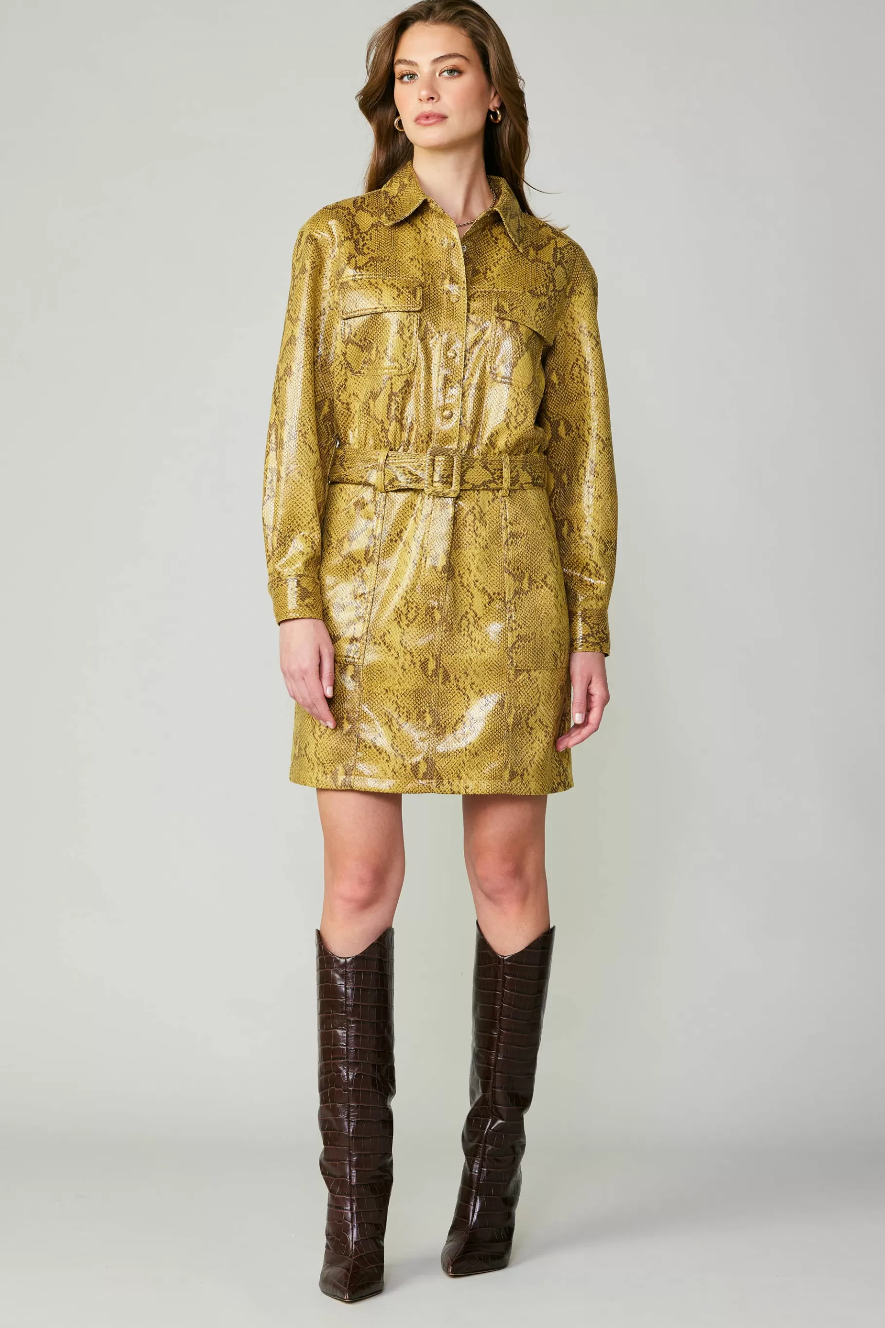 Current Air Coats & Jackets>Snakeskin Shirt Dress SNAKESKINYELLOW
